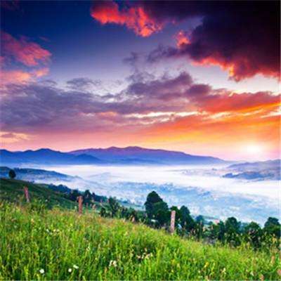 体验茶文化，2024北京“两展一节”6月7日开幕